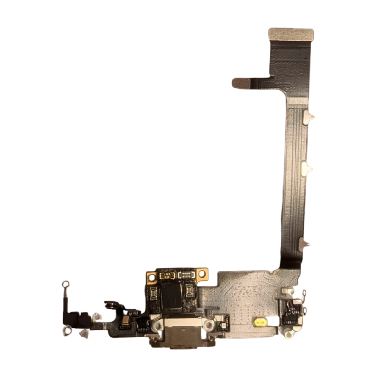 iPhone 11 Pro Max Ladebuchse PULLED