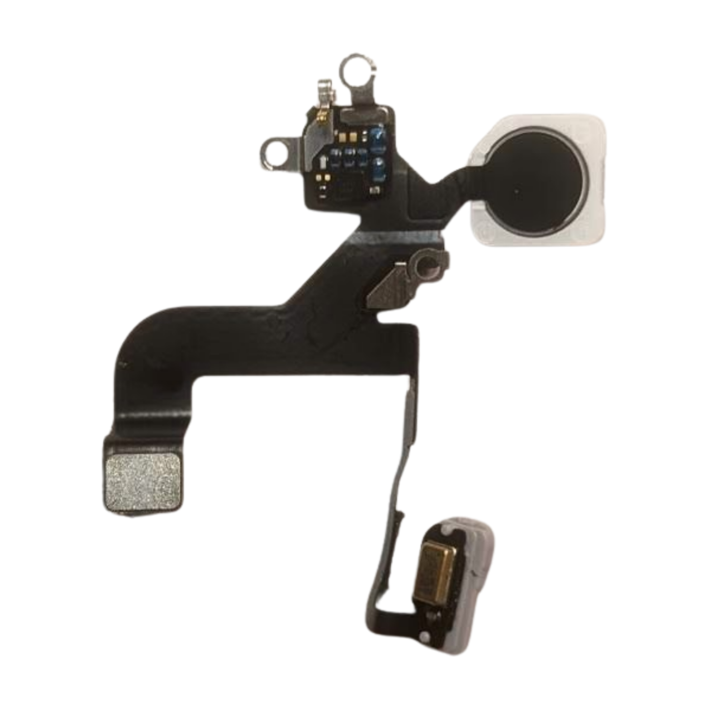 iPhone 12 Pro Flashlight Flex PULLED