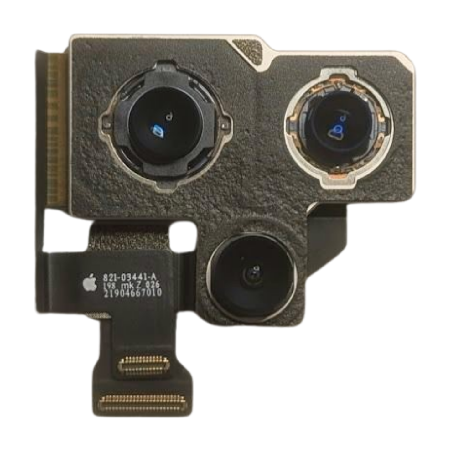 iPhone 12 Pro Max Hauptkamera PULLED