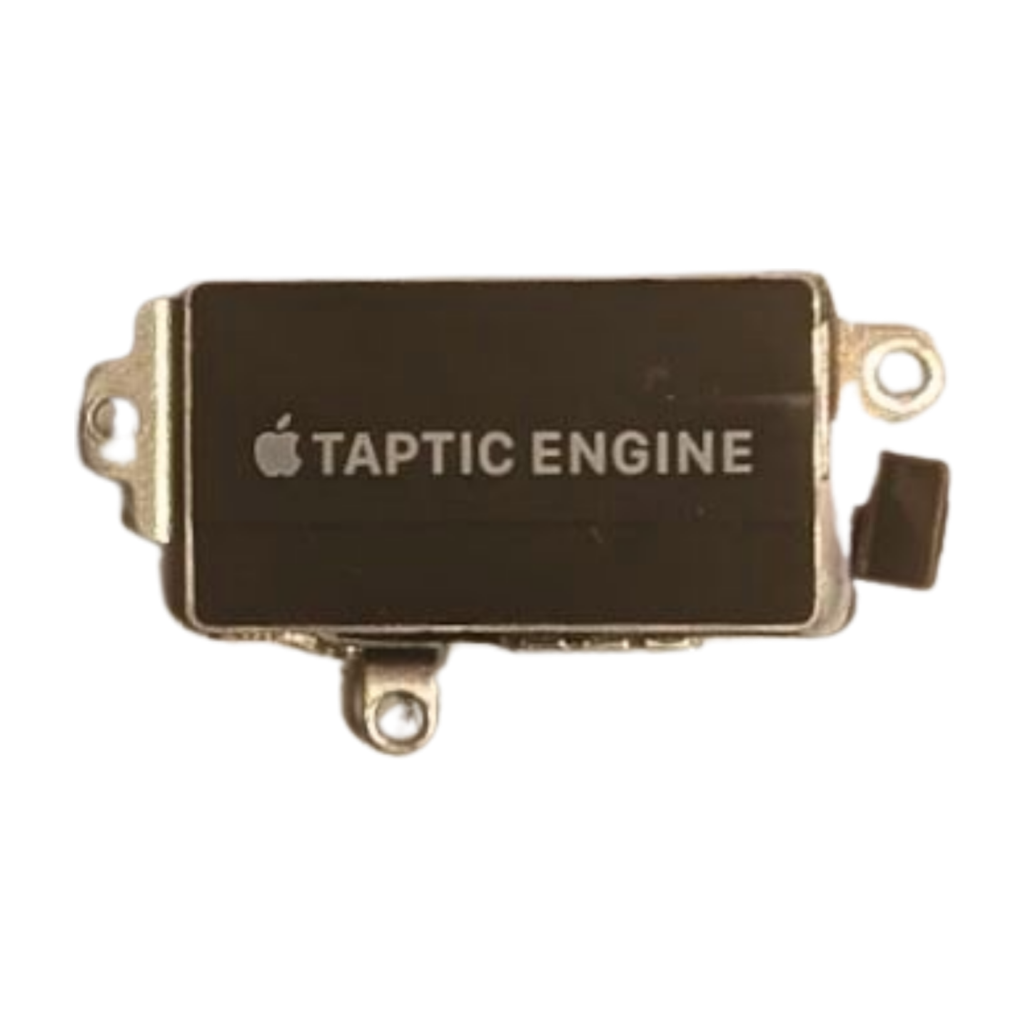 iPhone 11 Pro Max Vibrationsmotor PULLED