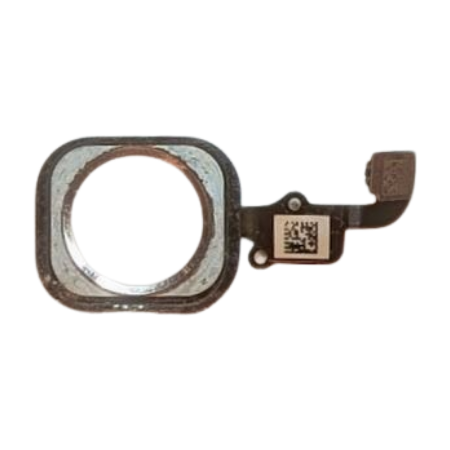 iPhone 6 Plus Home Button PULLED