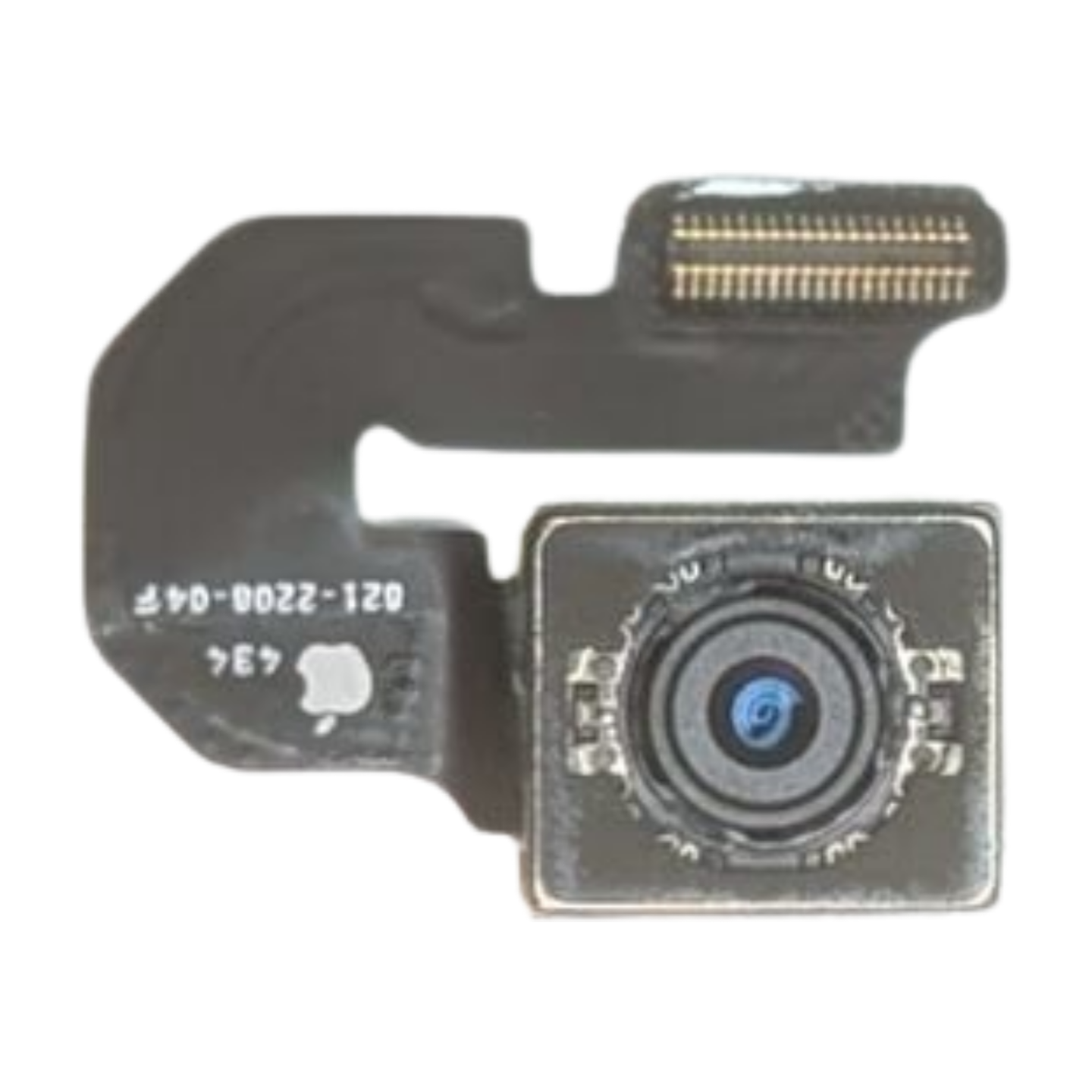 iPhone 6 Plus Hauptkamera PULLED